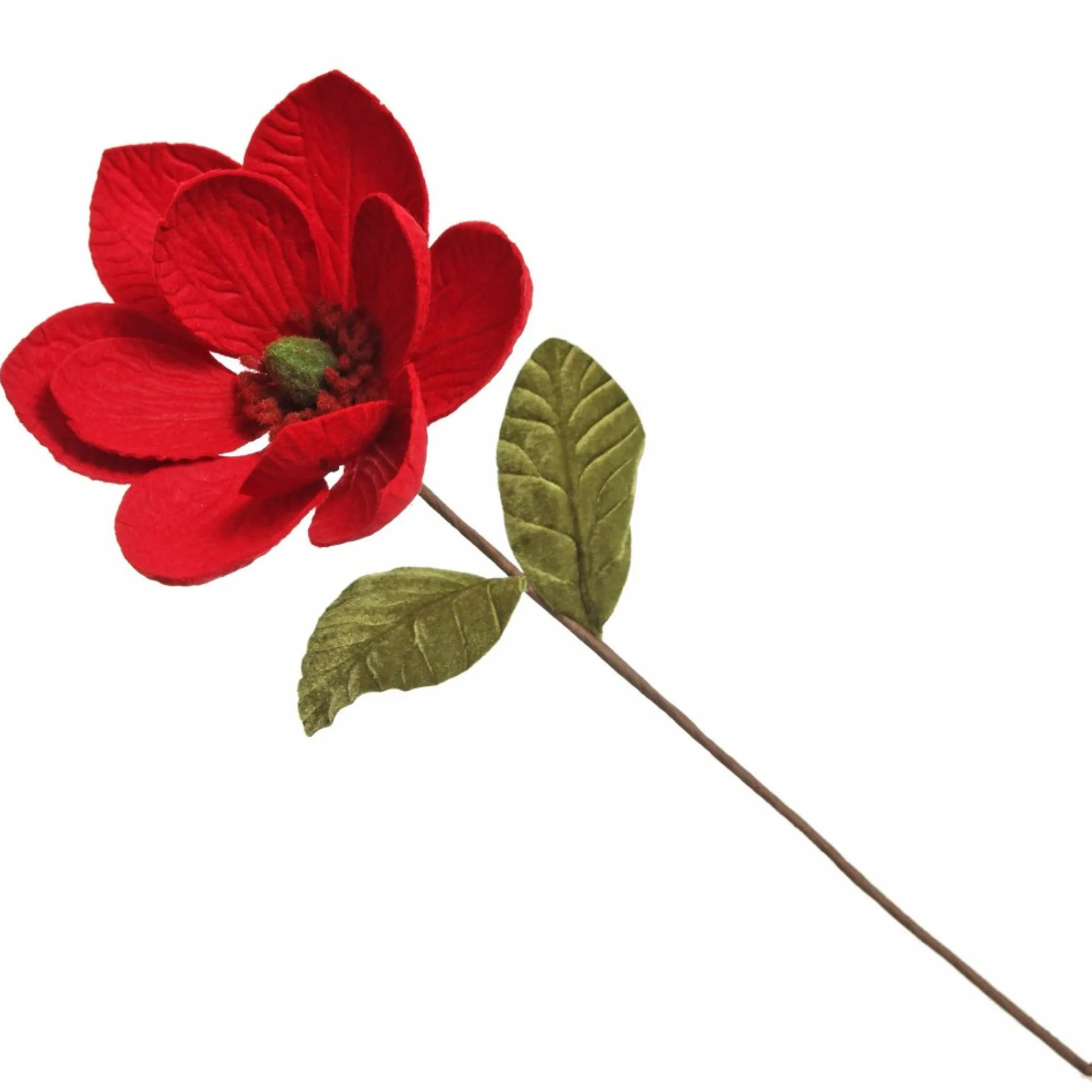 Red Magnolia Flower Stem Store