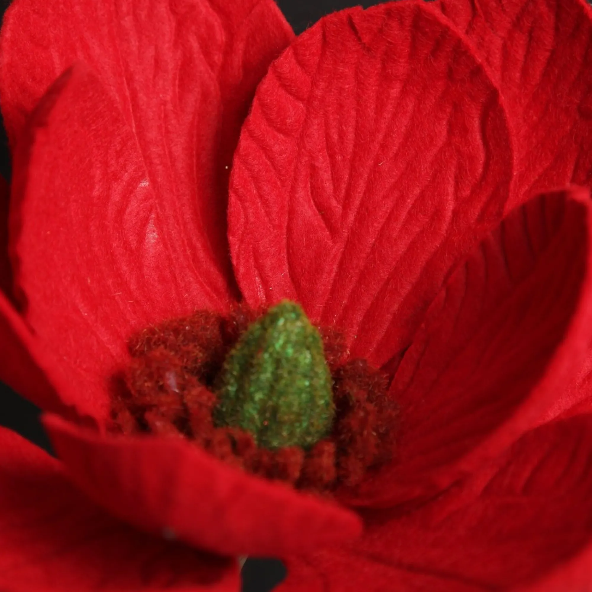 Red Magnolia Flower Stem Store