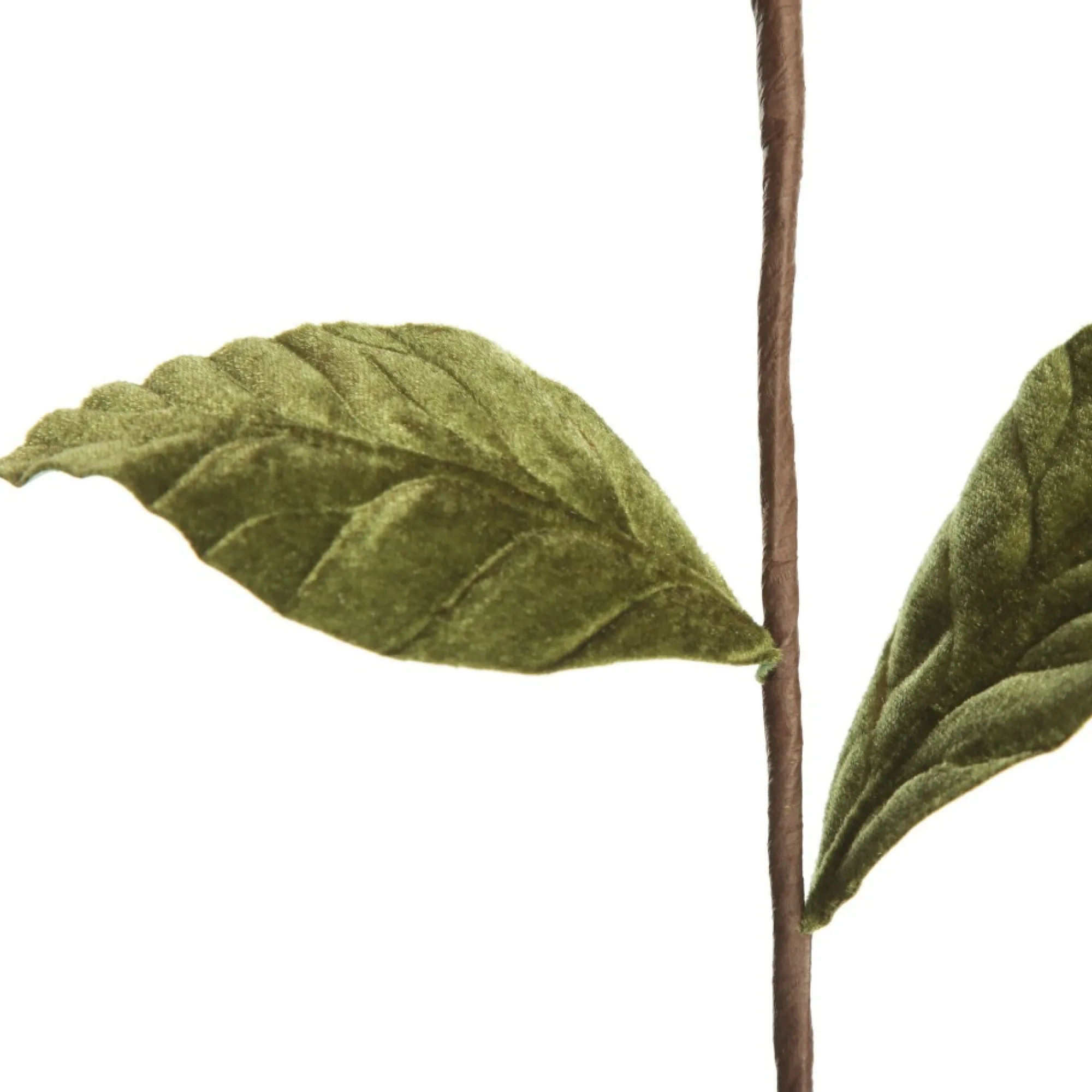 Red Magnolia Flower Stem Store