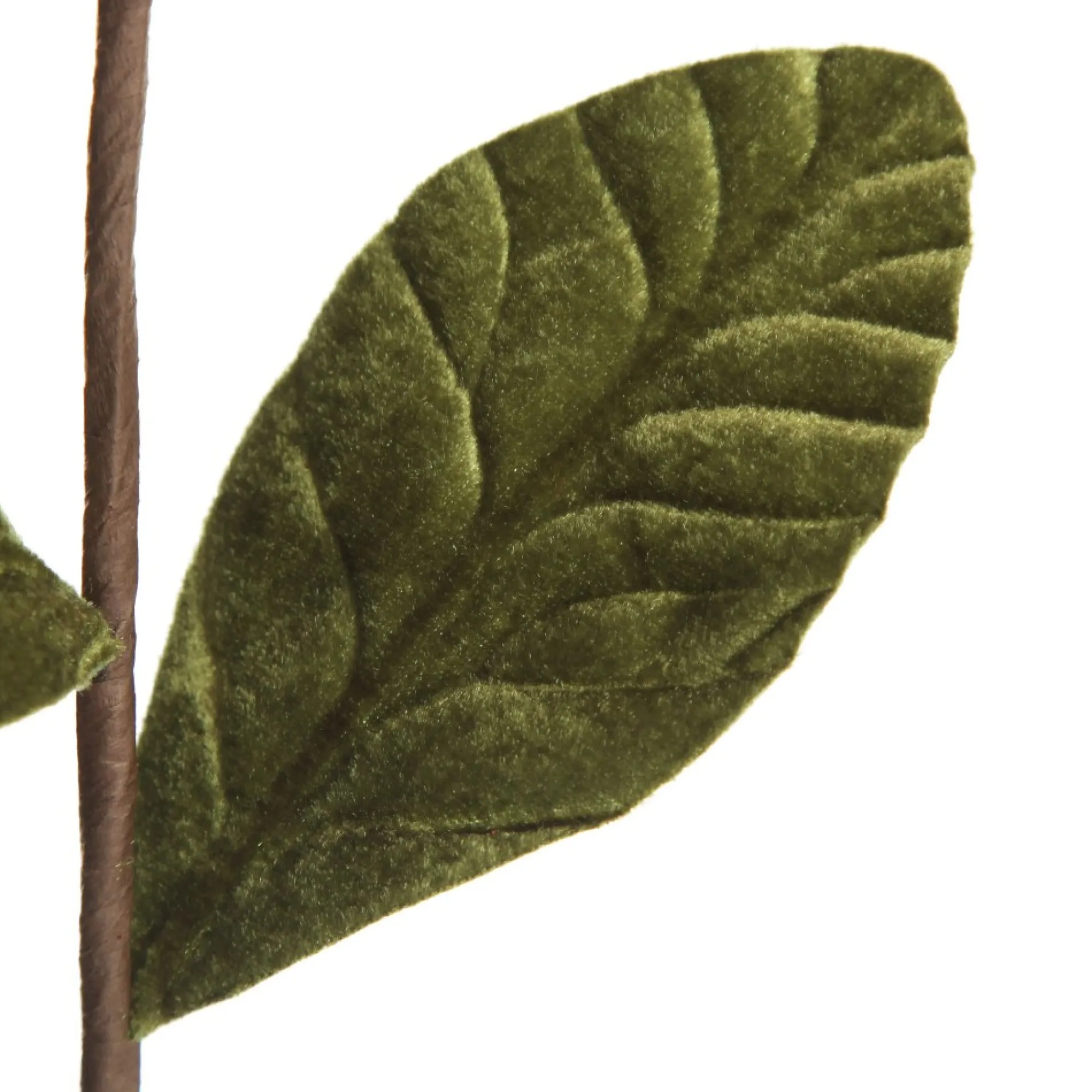 Red Magnolia Flower Stem Store