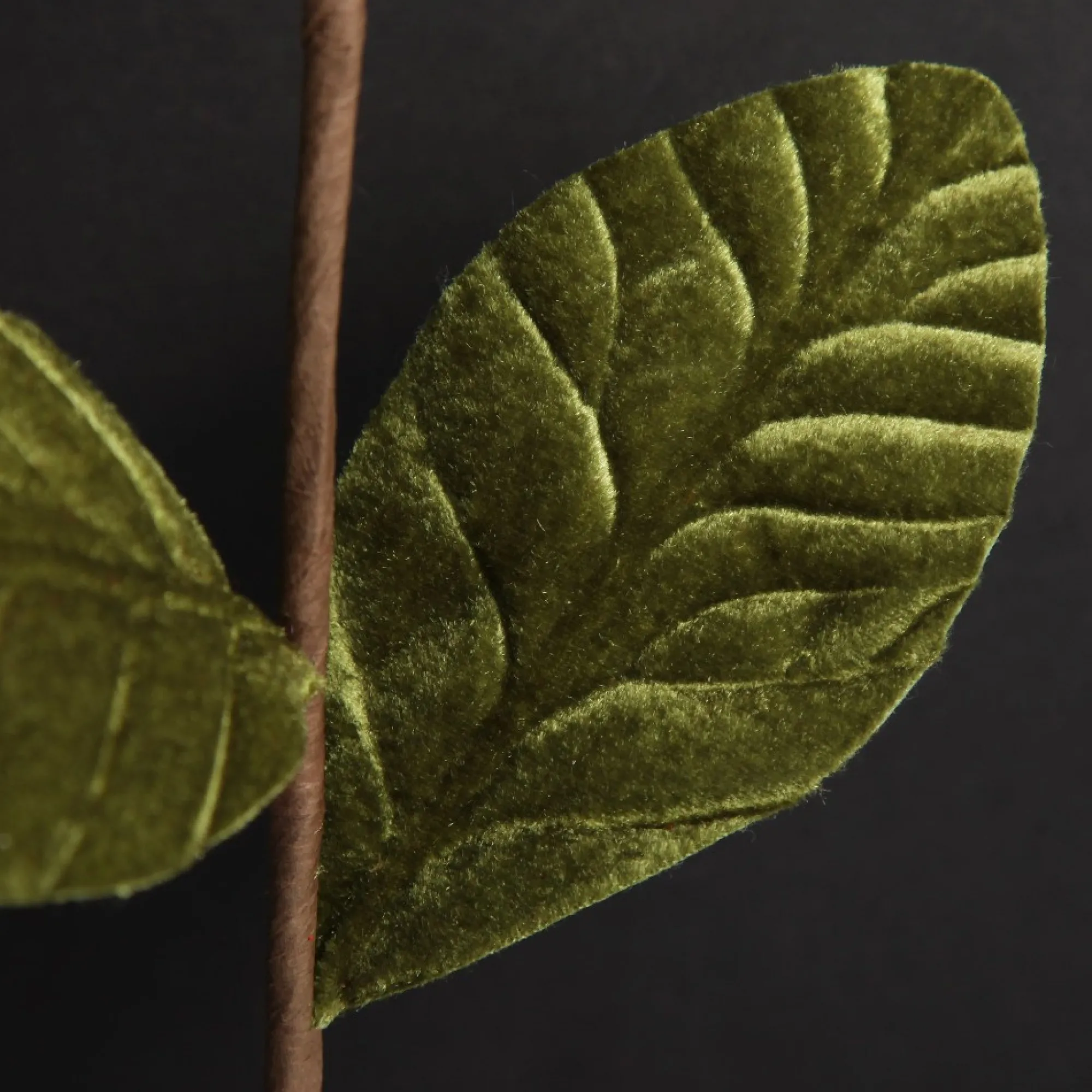 Red Magnolia Flower Stem Store