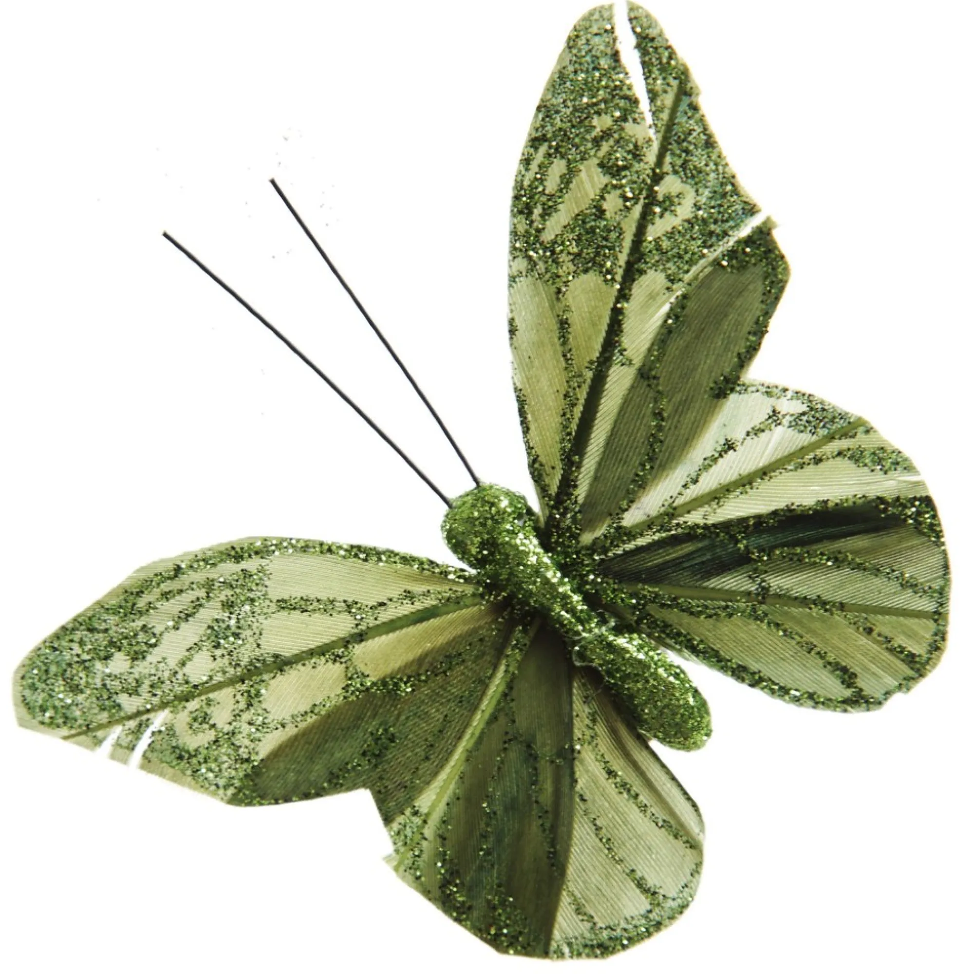 Sage Green Glitter Sheer Butterfly Clip Store