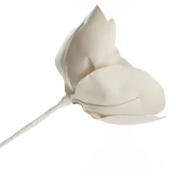 Shiny Ivory Magnolia Flower Stem Online