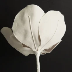 Shiny Ivory Magnolia Flower Stem Online
