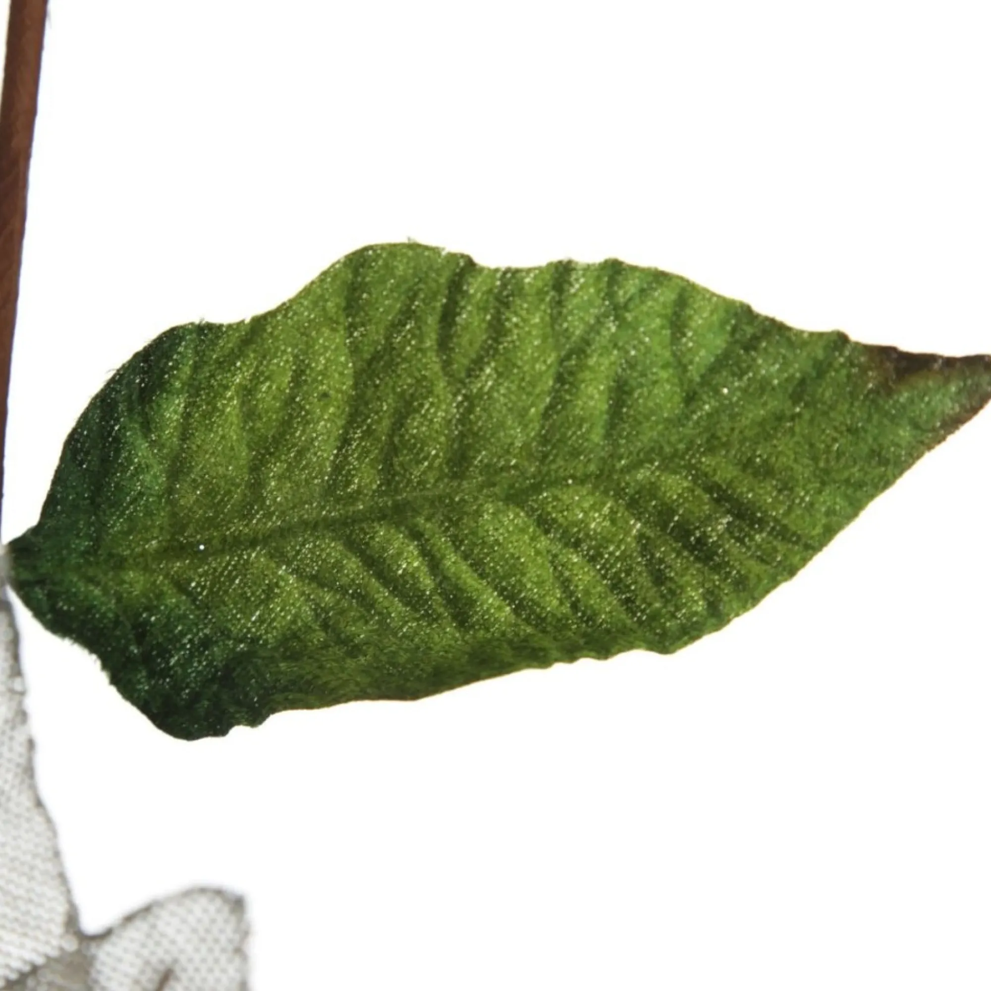 Silver Burlap Sequin Flower Shop