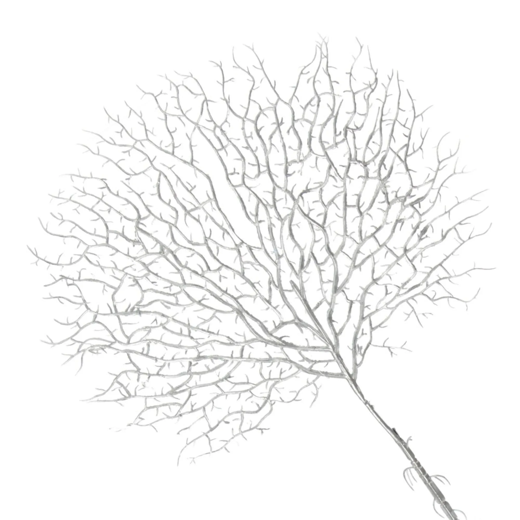 Silver Coral Fan Spray Cheap