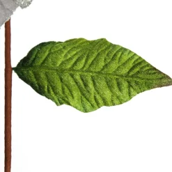 Silver Velvet Sequin Flower Fashion