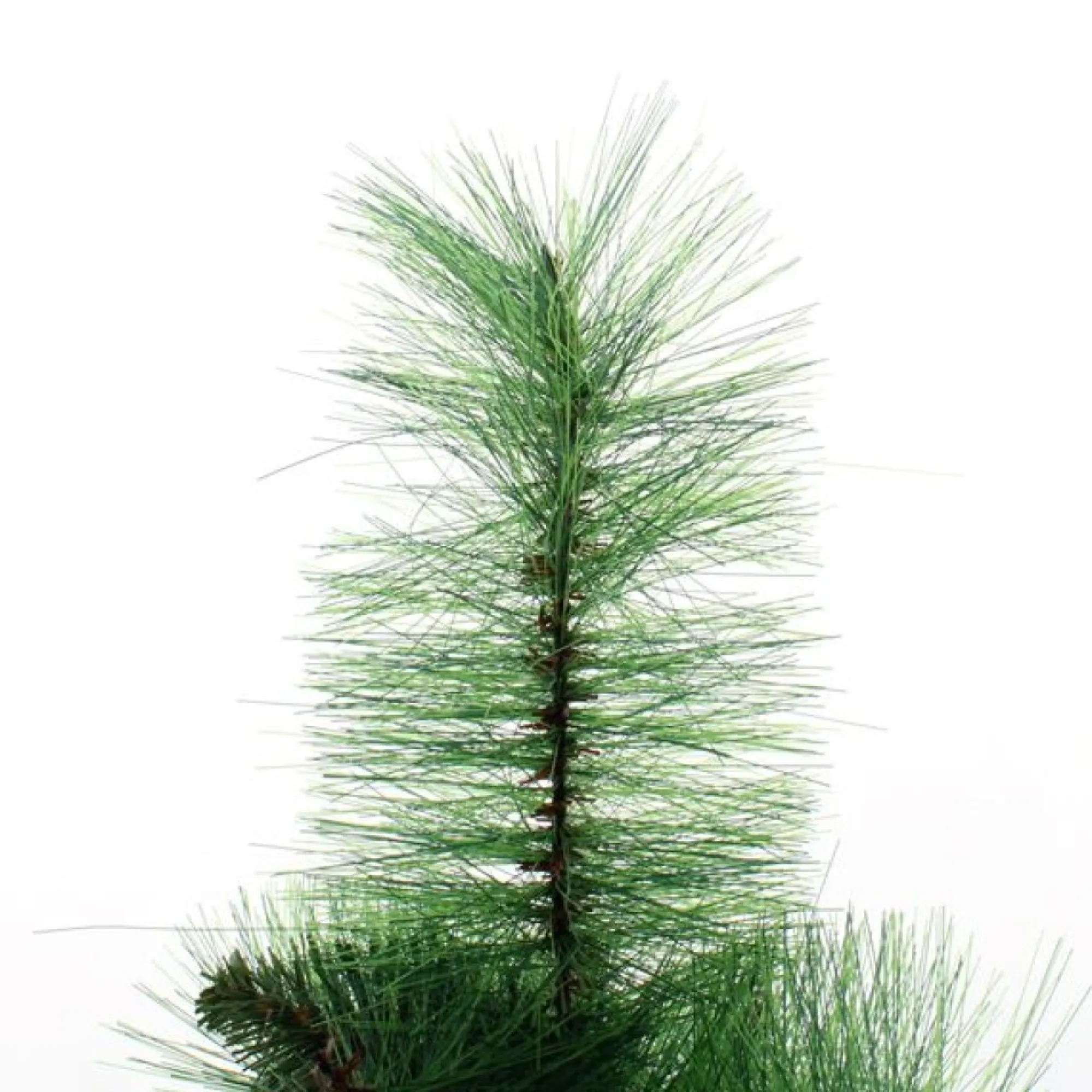 Small Evergreen Table Top Christmas Tree Flash Sale