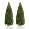 Small Green Sisal Tree - Set of 2 Best Sale