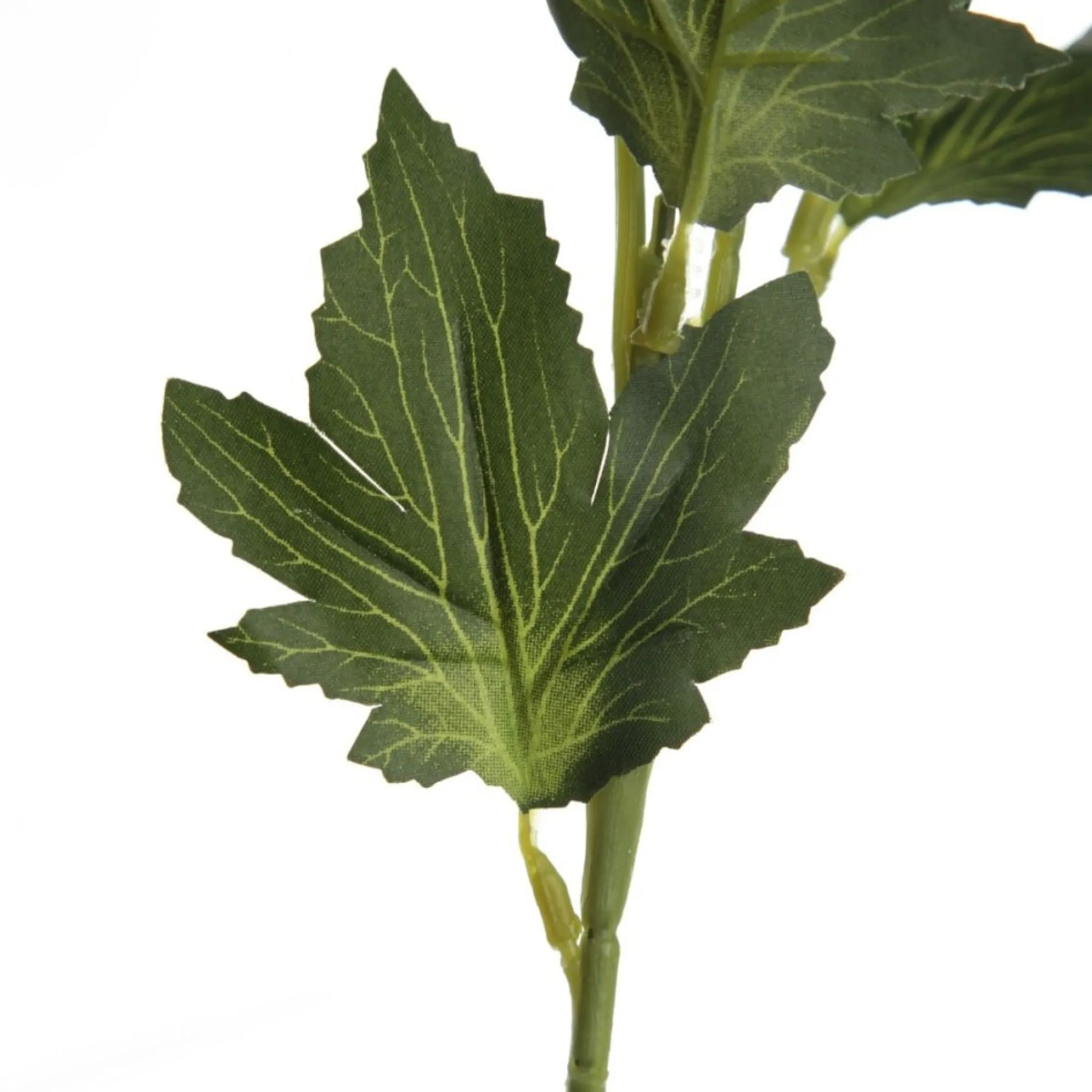 Triple Head Cream Banksia Spray Clearance