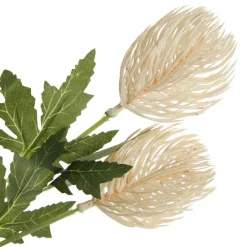 Triple Head Cream Banksia Spray Clearance