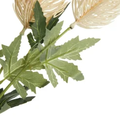 Triple Head Cream Banksia Spray Clearance