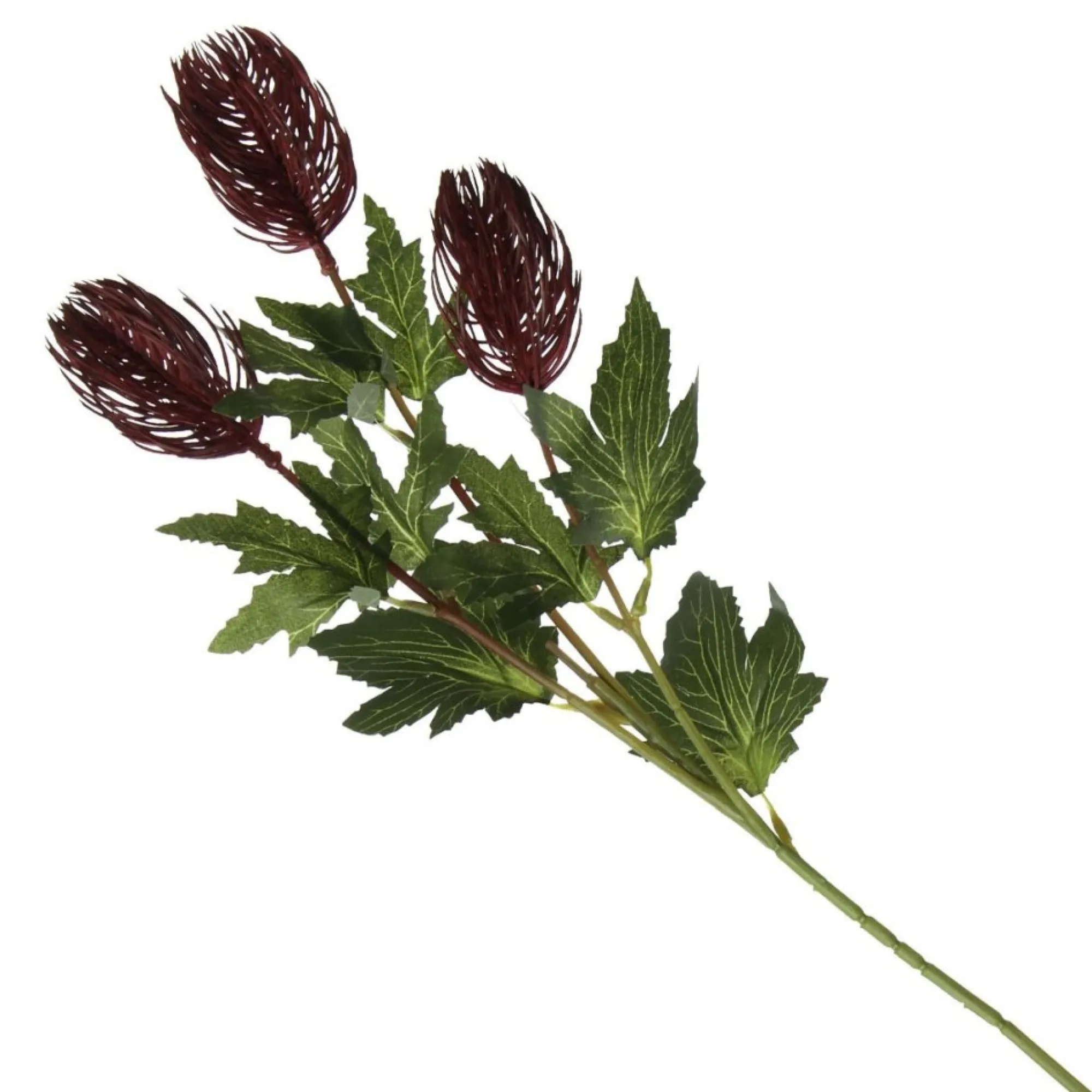 Triple Head Red Banksia Spray Clearance