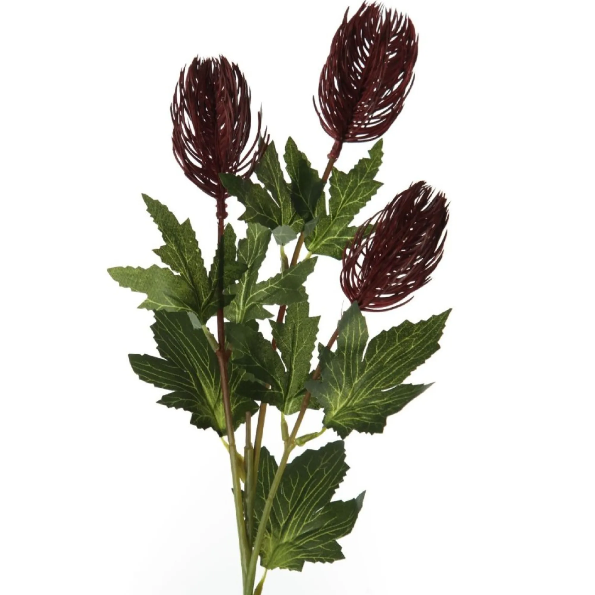 Triple Head Red Banksia Spray Clearance