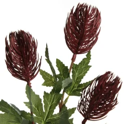 Triple Head Red Banksia Spray Clearance