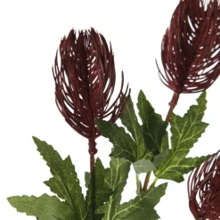 Triple Head Red Banksia Spray Clearance