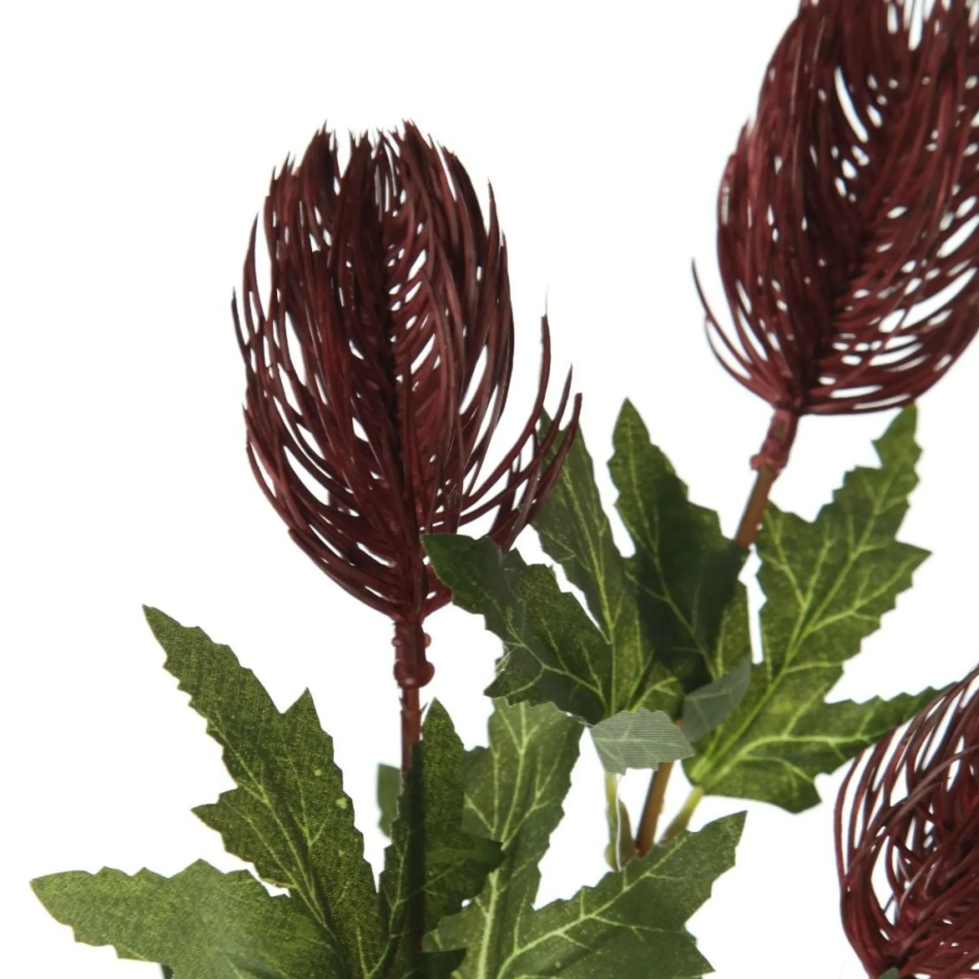 Triple Head Red Banksia Spray Clearance