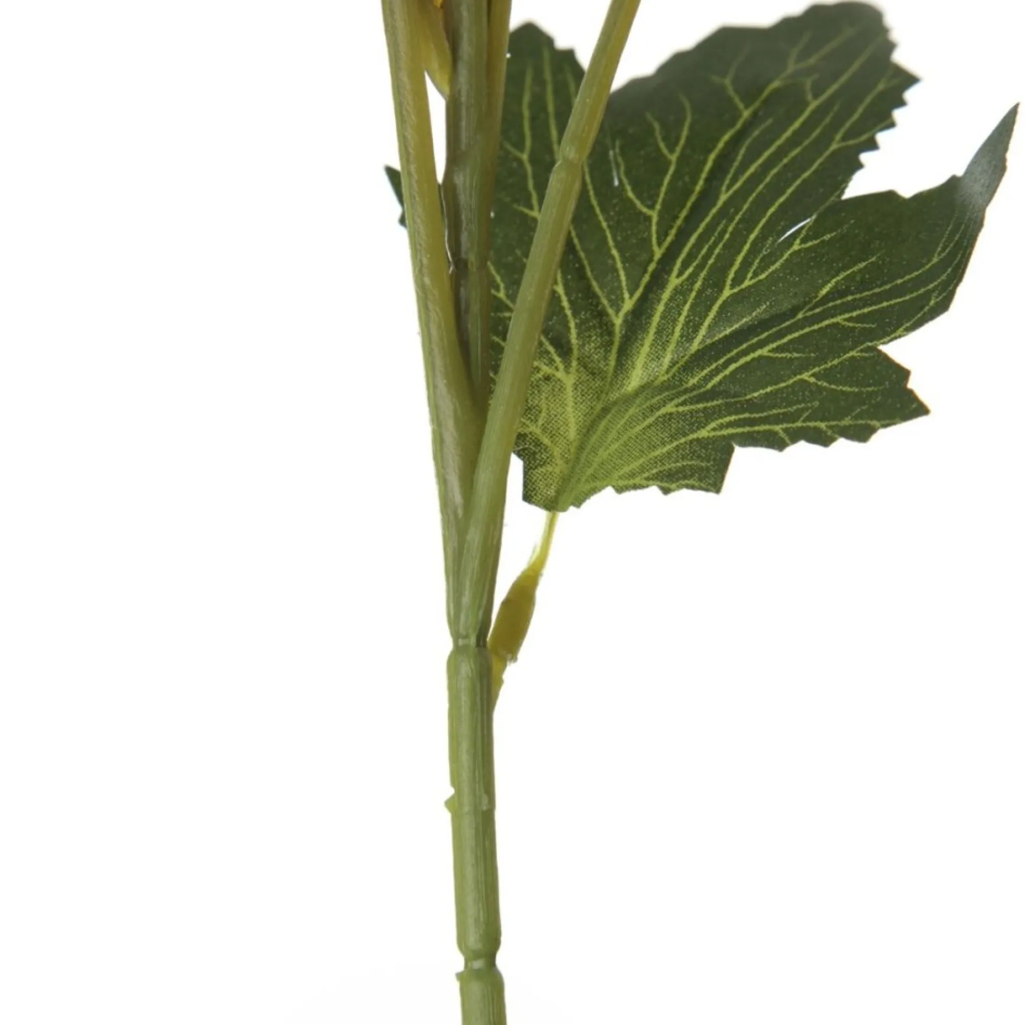 Triple Head Red Banksia Spray Clearance