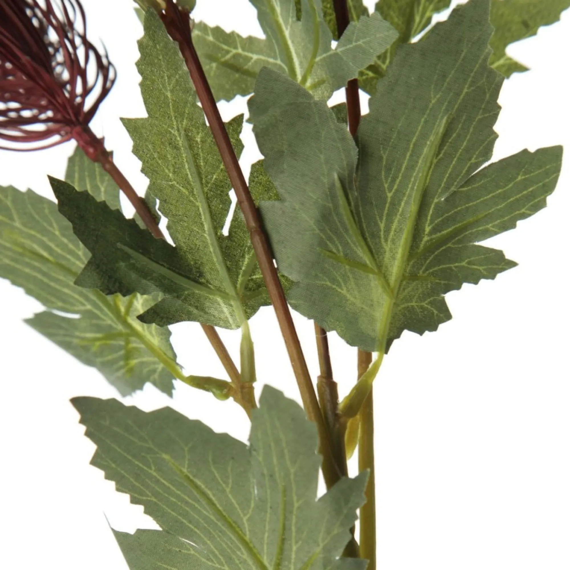 Triple Head Red Banksia Spray Clearance