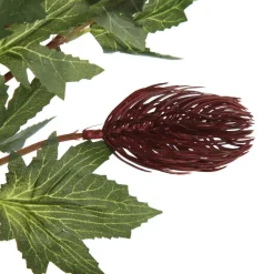 Triple Head Red Banksia Spray Clearance