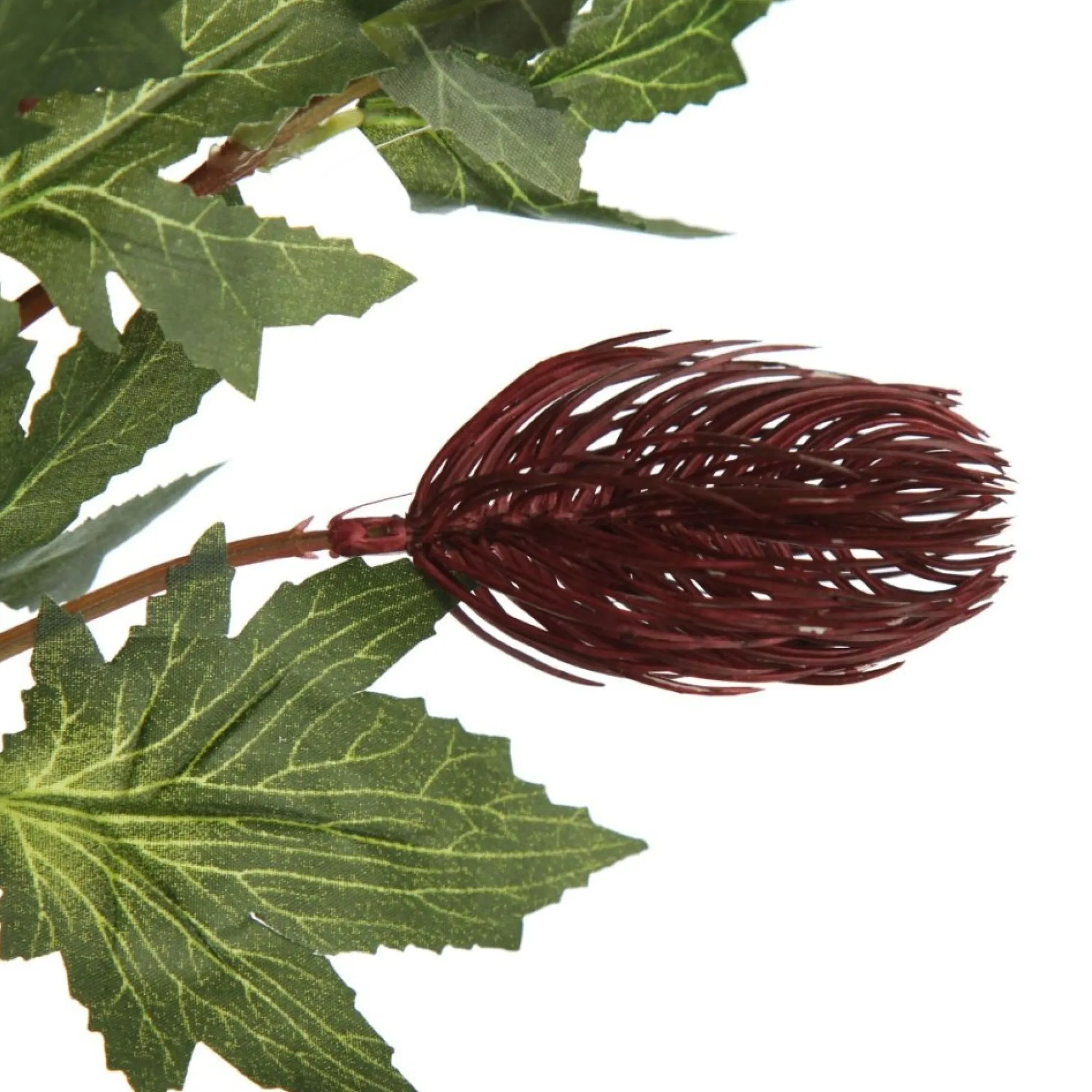 Triple Head Red Banksia Spray Clearance