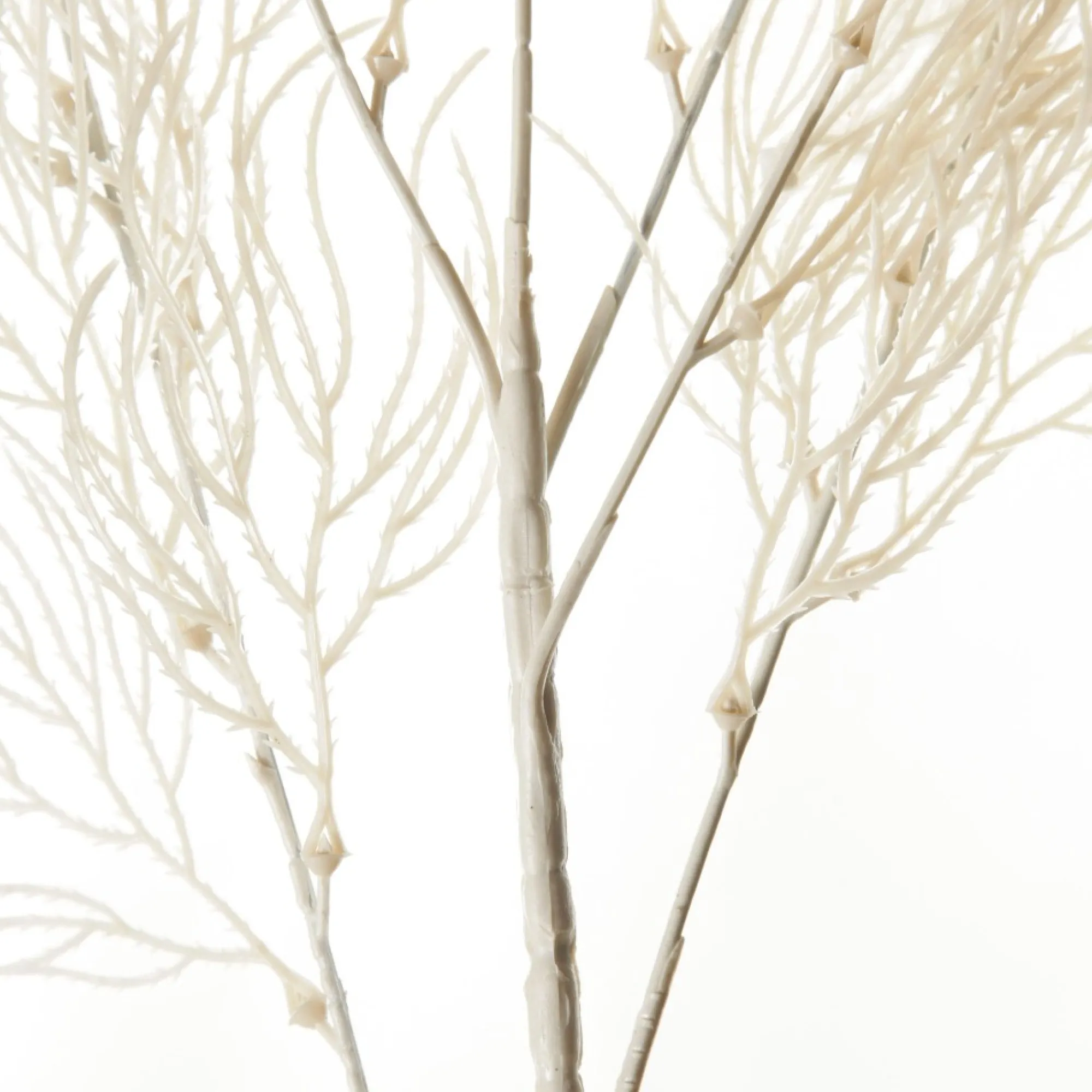 White Feathery Coral Spray Cheap