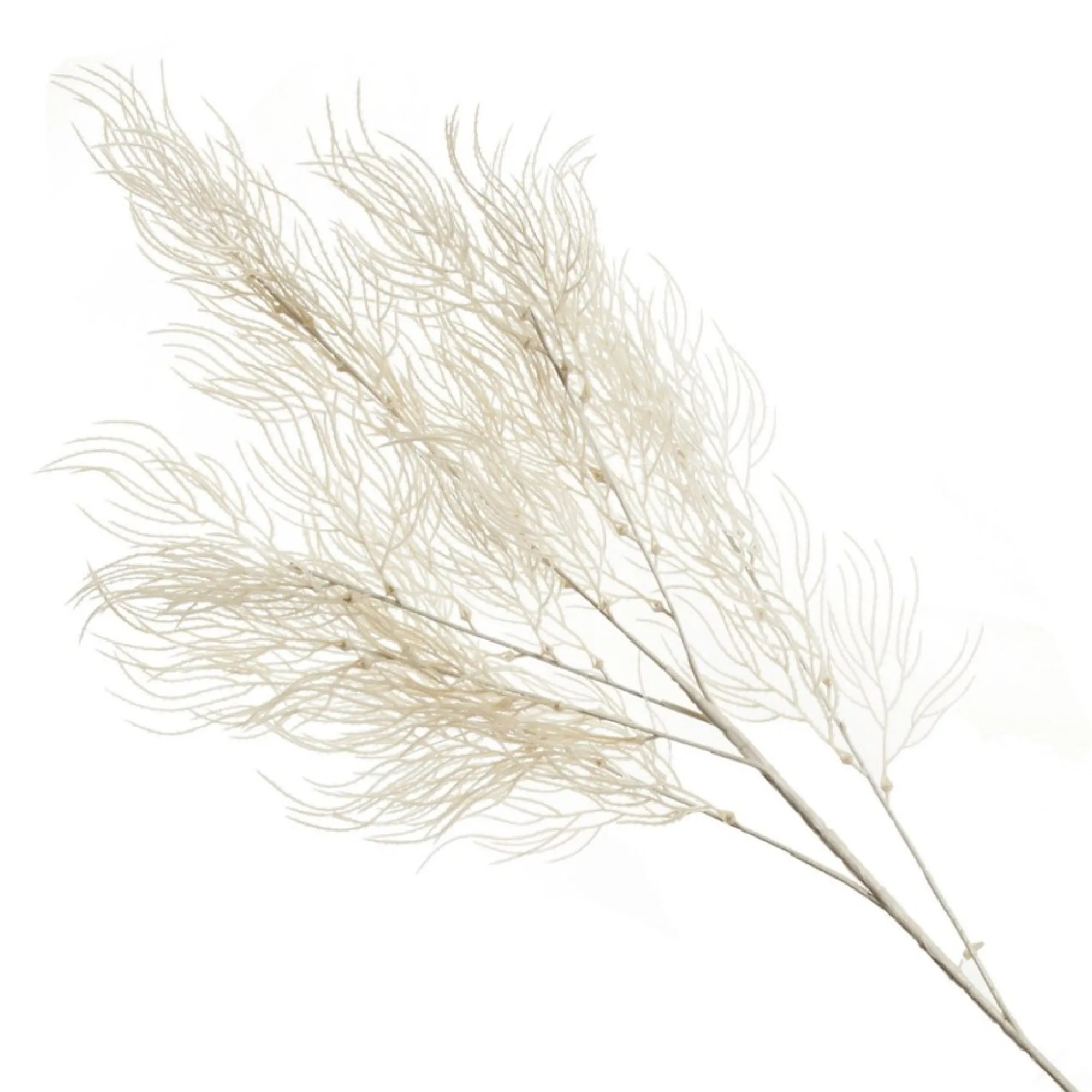 White Feathery Coral Spray Cheap