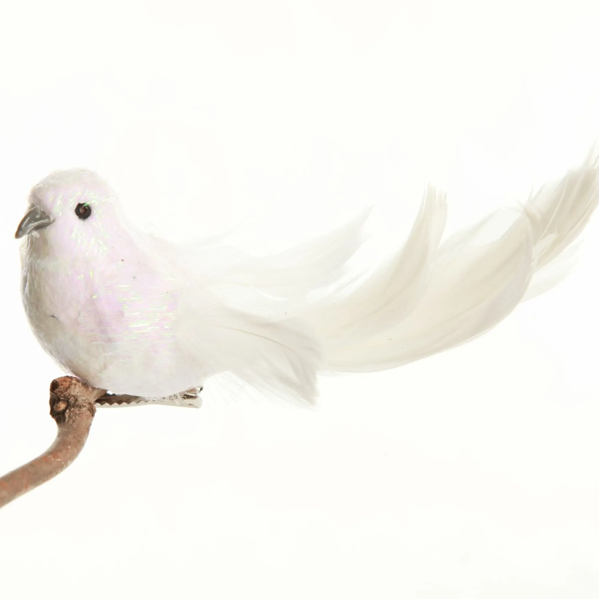 White Iridescent Finish Bird Clip Shop