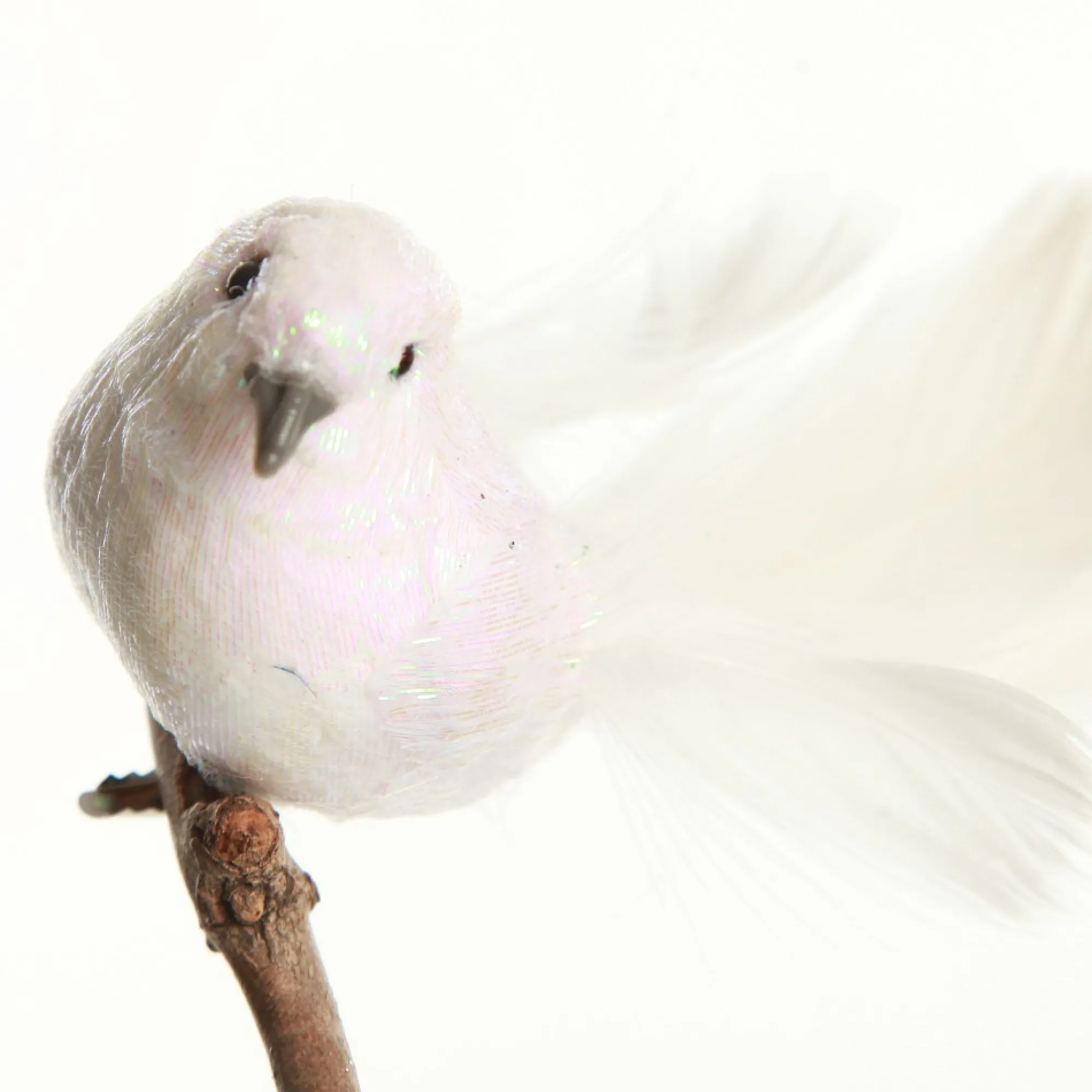 White Iridescent Finish Bird Clip Shop