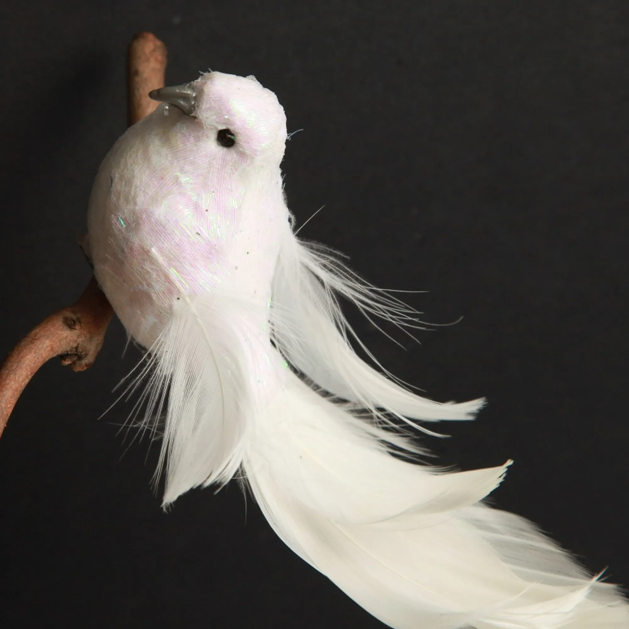 White Iridescent Finish Bird Clip Shop