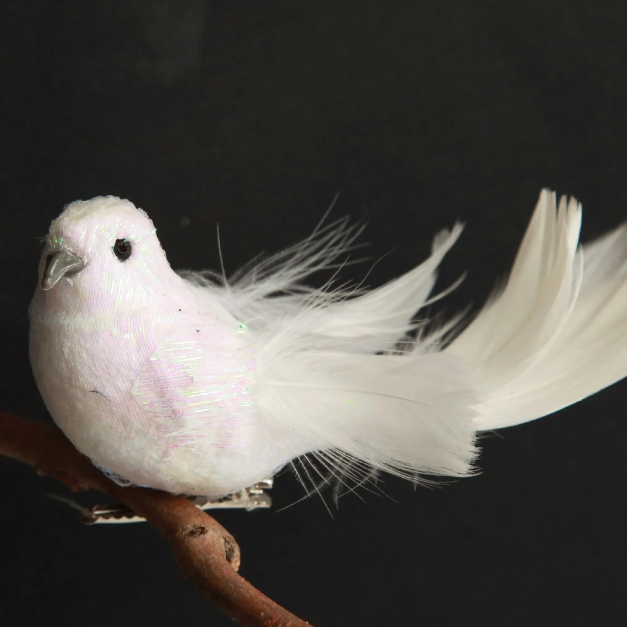 White Iridescent Finish Bird Clip Shop