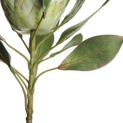 White King Protea Flower Stem Online