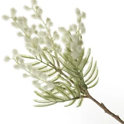 White Wattle Stem Spray Online